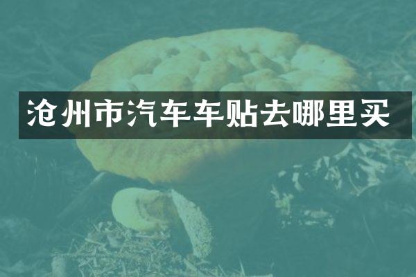 沧州市汽车车贴去哪里买