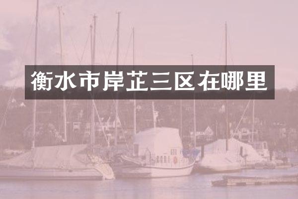 衡水市岸芷三区在哪里