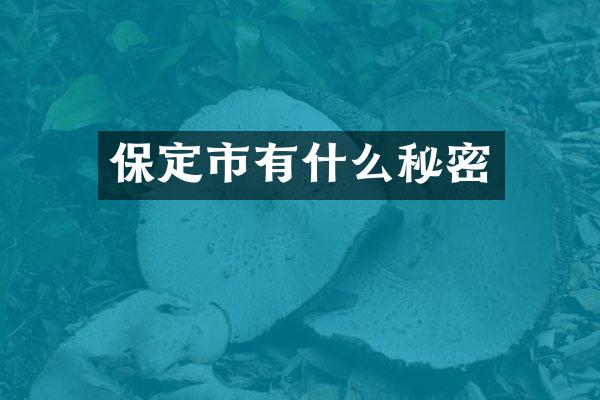 保定市有什么秘密