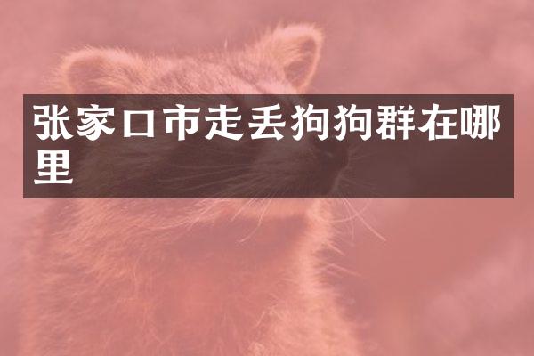 张家口市走丢狗狗群在哪里
