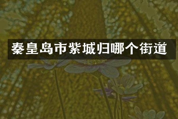 秦皇岛市紫城归哪个街道