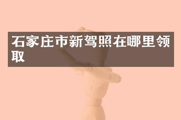 石家庄市新驾照在哪里领取
