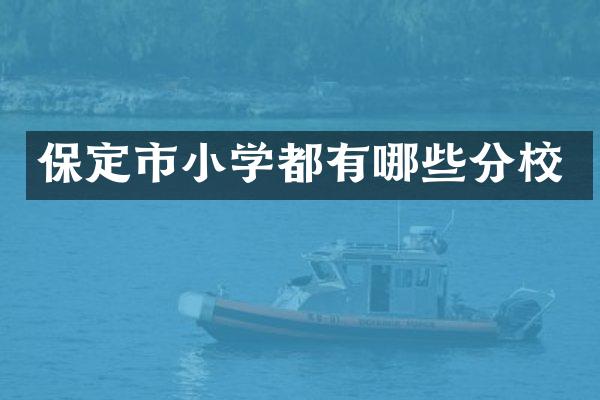 保定市小学都有哪些分校