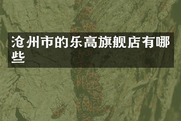 沧州市的乐高旗舰店有哪些