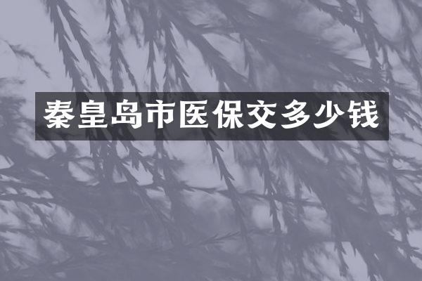 秦皇岛市医保交多少钱