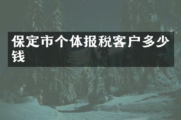 保定市个体报税客户多少钱