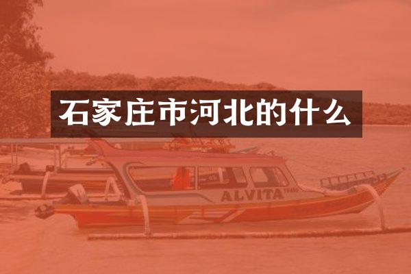 石家庄市河北的什么