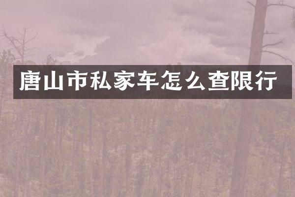 唐山市私家车怎么查限行