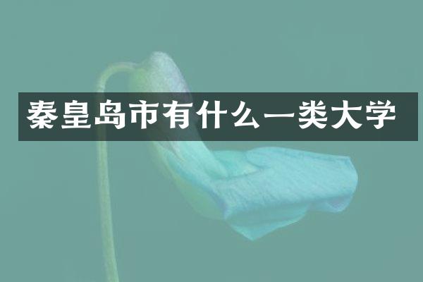 秦皇岛市有什么一类大学