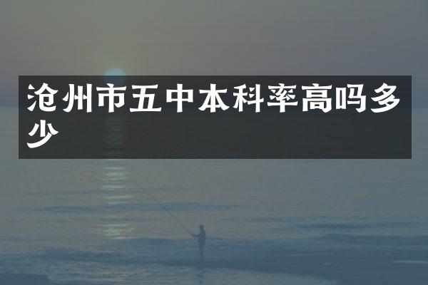 沧州市五中本科率高吗多少