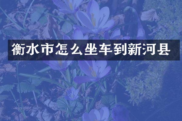 衡水市怎么坐车到新河县