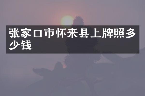 张家口市怀来县上牌照多少钱
