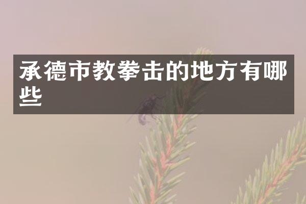 承德市教拳击的地方有哪些