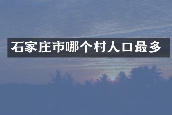 石家庄市哪个村人口最多