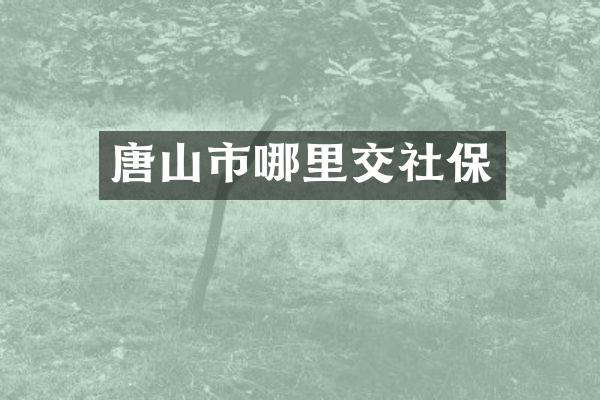 唐山市哪里交社保
