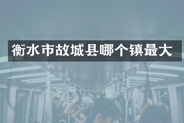 衡水市故城县哪个镇最大