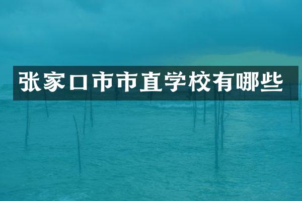 张家口市市直学校有哪些