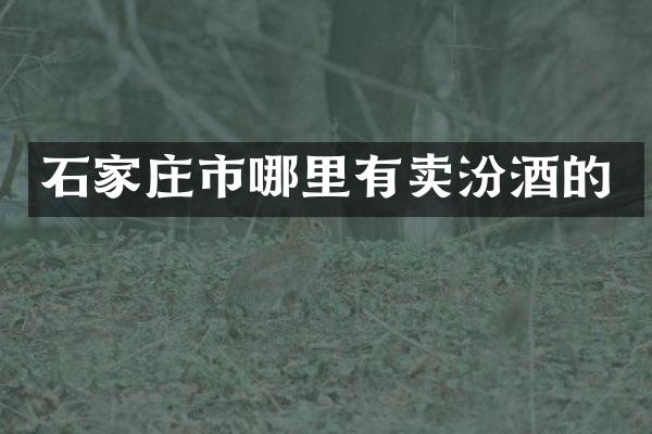 石家庄市哪里有卖的