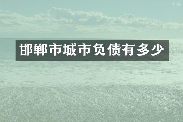 邯郸市城市负债有多少