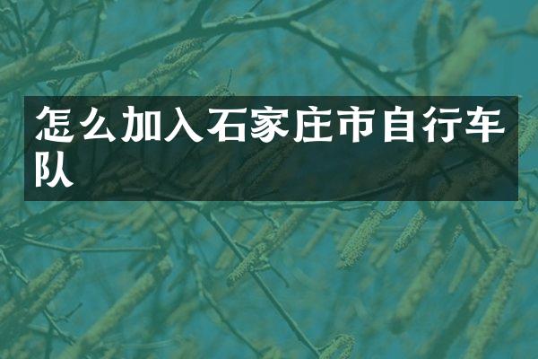 怎么加入石家庄市自行车队