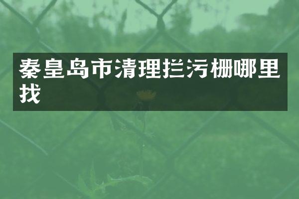秦皇岛市清理拦污栅哪里找