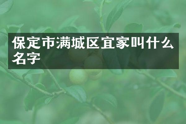 保定市满城区宜家叫什么名字
