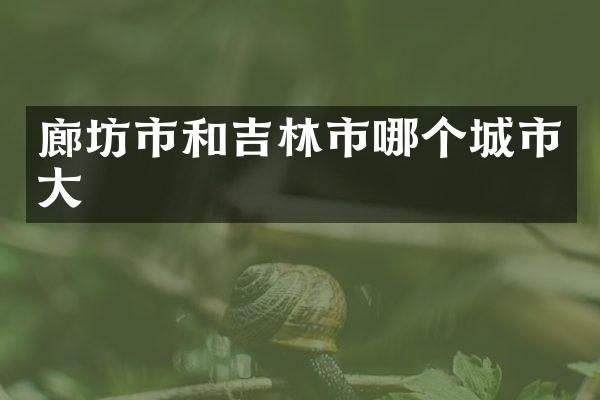 廊坊市和吉林市哪个城市大
