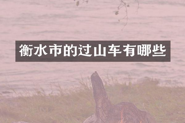 衡水市的过山车有哪些