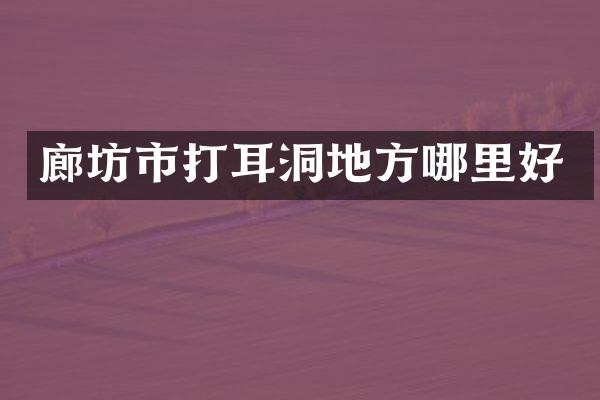 廊坊市打耳洞地方哪里好