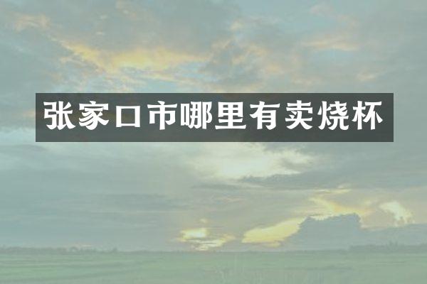 张家口市哪里有卖烧杯