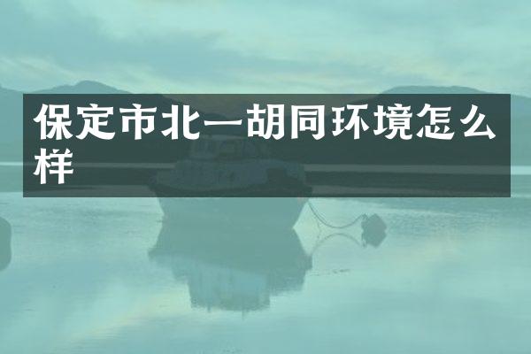 保定市北一胡同环境怎么样