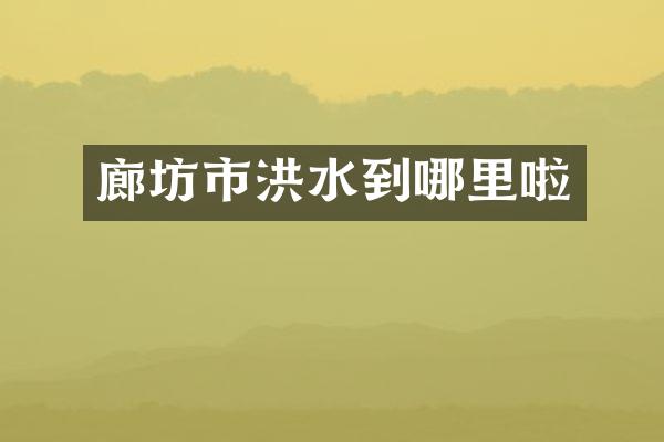 廊坊市洪水到哪里啦