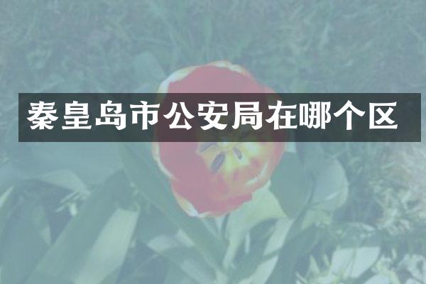 秦皇岛市公安局在哪个区