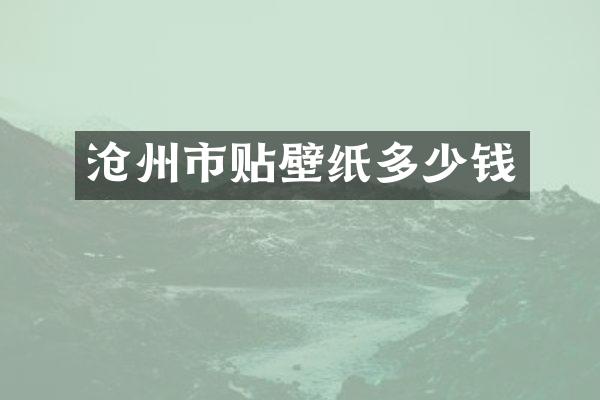 沧州市贴壁纸多少钱
