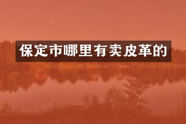 保定市哪里有卖皮革的