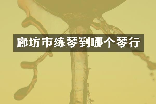 廊坊市练琴到哪个琴行