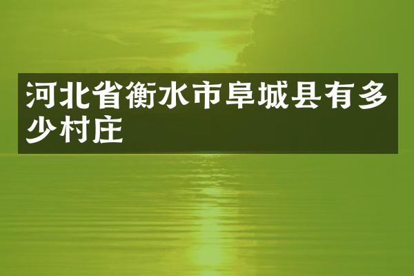 河北省衡水市阜城县有多少村庄