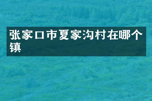 张家口市夏家沟村在哪个镇