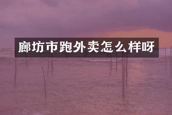 廊坊市跑外卖怎么样呀