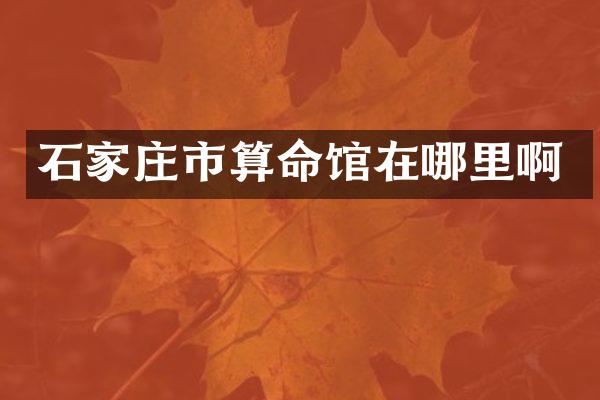 石家庄市算命馆在哪里啊