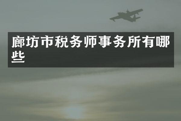 廊坊市税务师事务所有哪些