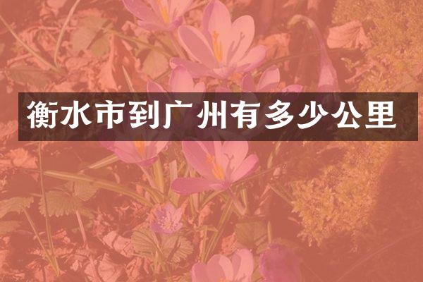 衡水市到广州有多少公里