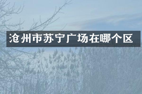 沧州市苏宁广场在哪个区
