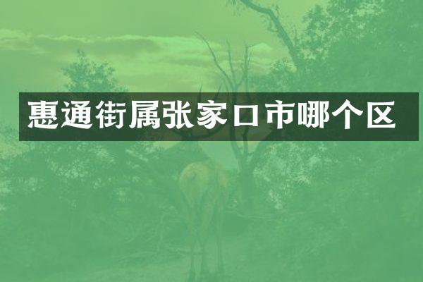 惠通街属张家口市哪个区