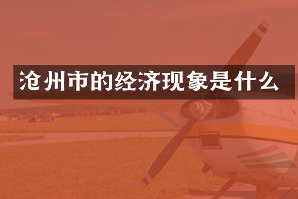 沧州市的经济现象是什么