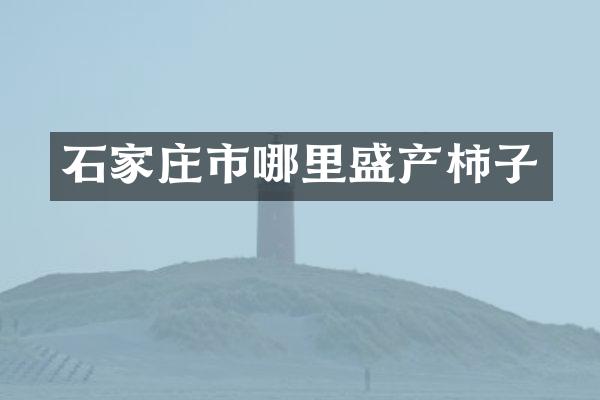 石家庄市哪里盛产柿子