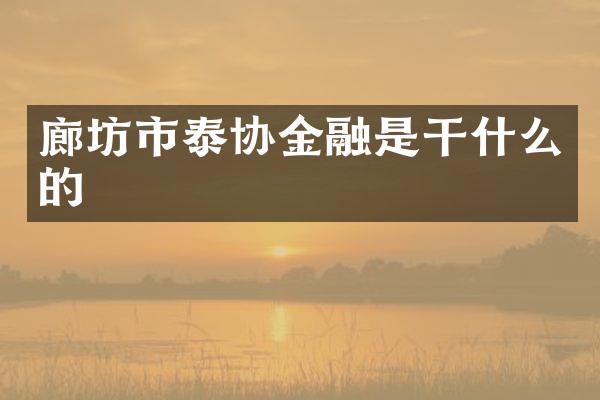 廊坊市泰协金融是干什么的
