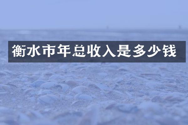 衡水市年总收入是多少钱