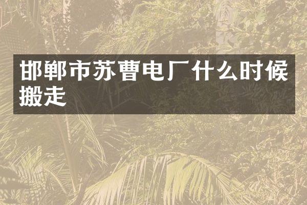 邯郸市苏曹电厂什么时候搬走