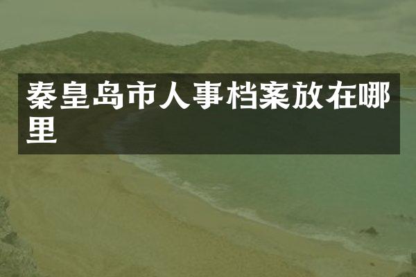 秦皇岛市人事档案放在哪里